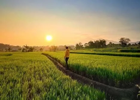 Pemandangan Desa Cisalada